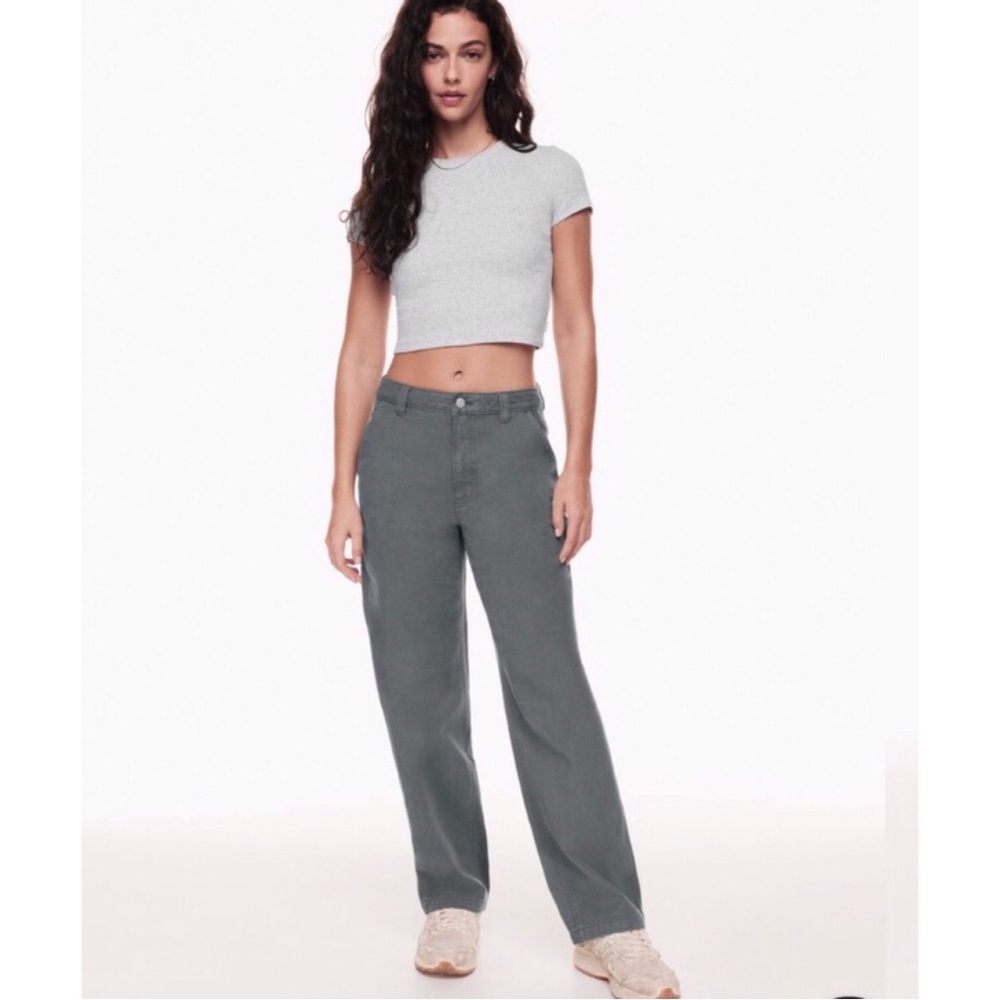 nwot TNA Greenwich pant 6 29”